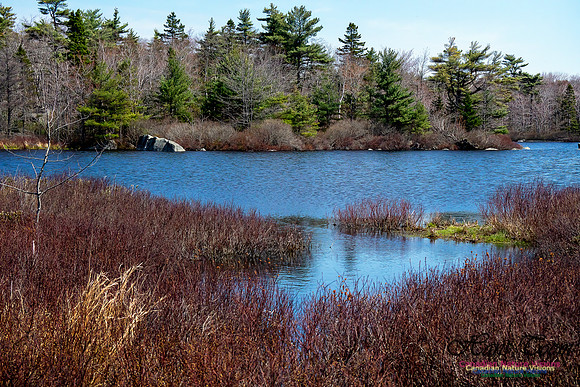 Sir Sanford Fleming Park 3