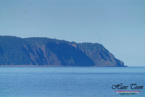 Isle Haute 101