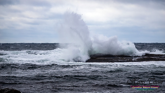November Gale 3 130