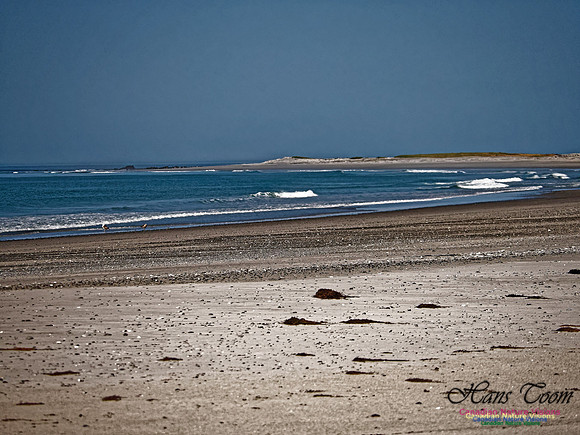 Cape Sable 2018 2