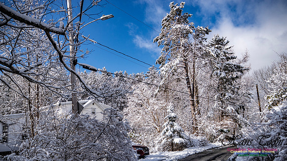 April Snow in Nova Scotia 238