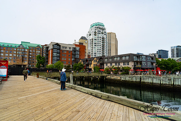 Halifax Waterfront Stroll 128
