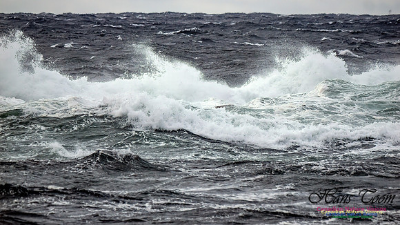 November Gale 3 106
