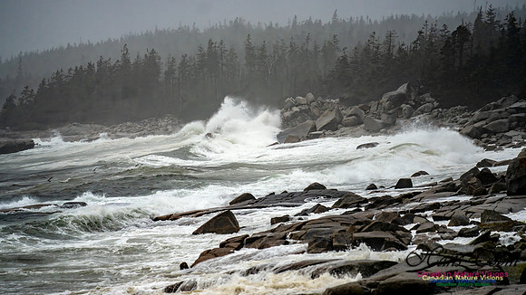 Nova Scotia Gale 2024-09-07 126
